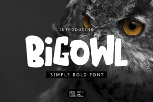 Big Owl: A Bold Display Font for Modern Web Design