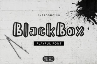 Black Box Typeface: The Playful Font That Transformed My Brand’s Look