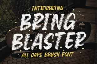 Bring Blaster: A Playful Display Font for Digital Branding
