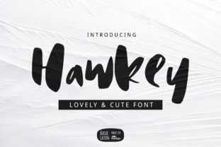 Hawkey: A Playful Brush Pen Display Font for Bold Branding