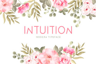 Intuition Font: A Friendly Display Typeface for Editorial Design