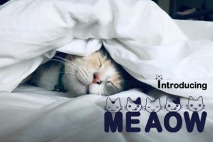 Meaow Font: The Playful Display Typeface for Memorable Campaigns